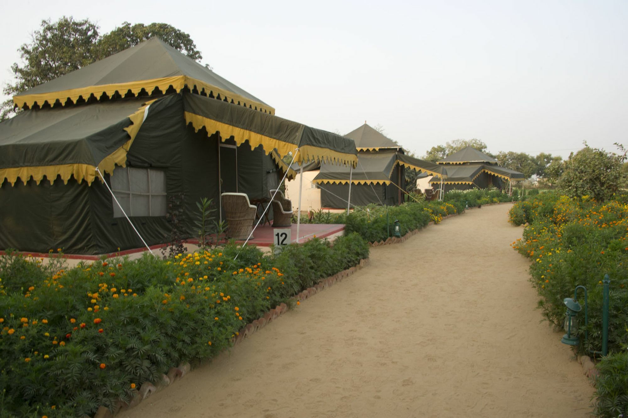بوشكار Orchard Tents & Tranquility المظهر الخارجي الصورة